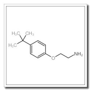 2-(4-叔丁基苯氧基)乙胺盐酸盐