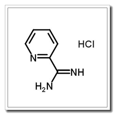 Picolinimidamide Hydrochloride CAS 51285-26-8