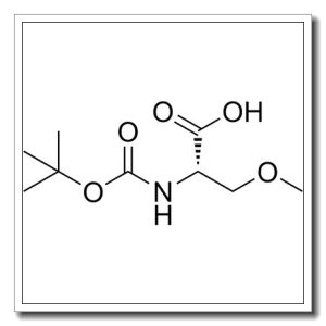保护的甲基-L-丝氨酸二环己基铵盐