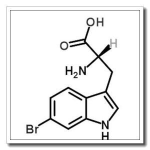 L-6-溴色氨酸