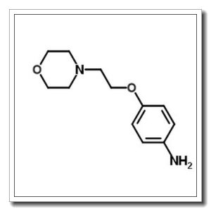 4-(2-吗啉-4-乙氧基)苯胺
