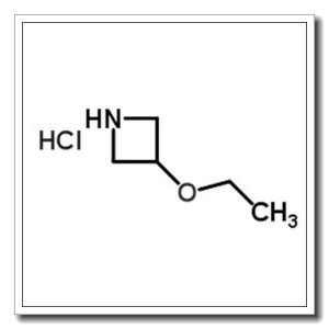 3-乙氧基氮杂啶盐酸盐