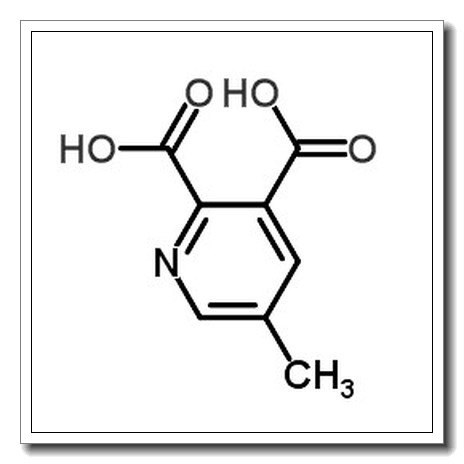 5-甲基吡啶-2,3-二羧酸