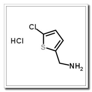 (5-氯噻吩-2-基)甲胺盐酸盐