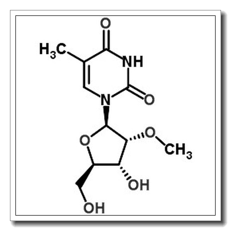 2'-O-methyl-5-methyluridine CAS 55486-09-4