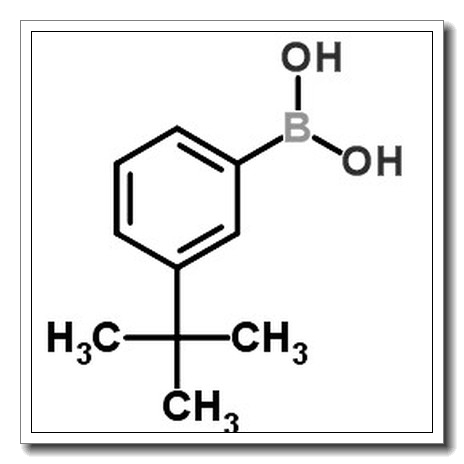 3-tert-Butylphenylboronic acid CAS 560132-24-3