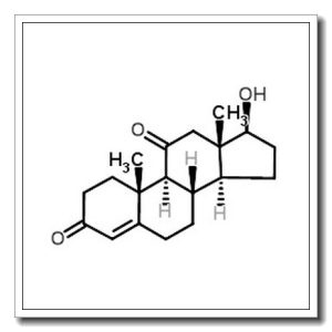 11 -酮睾酮