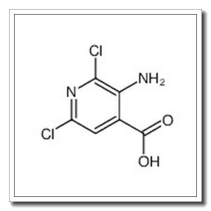3-氨基-2,6-二氯异烟酸