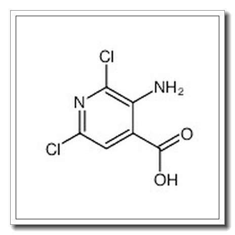 3-amino-2,6-dichloropyridine-4-carboxylic acid CAS 58484-01-8