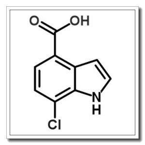 7-氯-4-吲哚羧酸