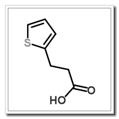 3-(2-Thienyl)propionic acid CAS 5928-51-8