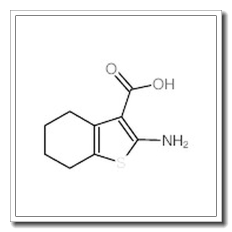 2-氨基四氢苯并噻吩-3-甲酸