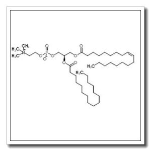 1-Oleoyl-2-palmitoyl-sn-glycero-3-phosphocholine