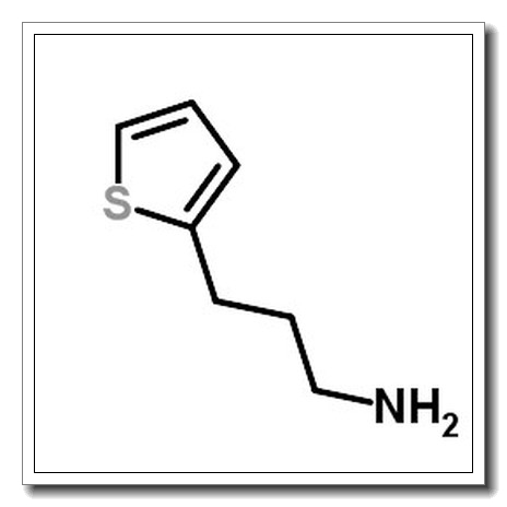 3-(2-Thienyl)-1-propanamine CAS 6007-90-5