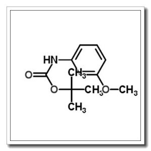 叔-丁基 (3-methoxyphenyl)氨基甲酸酯
