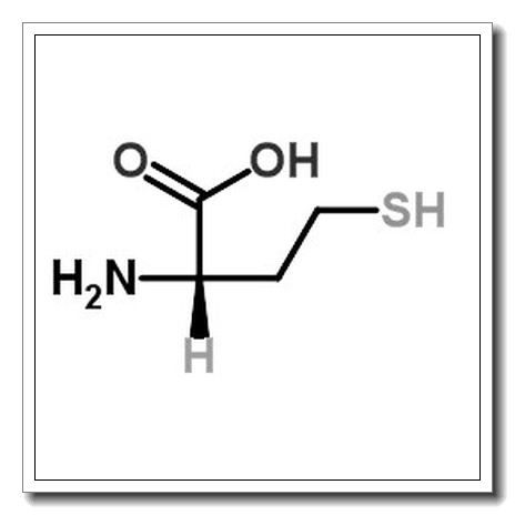 L-高半胱氨酸