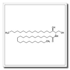 N-tetracosanoylsphinganine