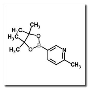 2-甲基吡啶-5-硼酸频那醇酯