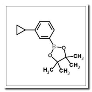 2-(3-环丙基苯基)-4,4,5,5-四甲基-[1,3,2]二噁硼烷