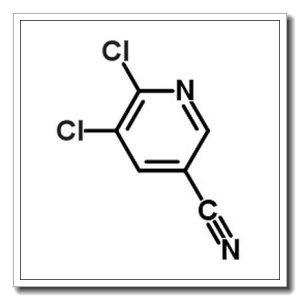 5,6-二氯烟腈