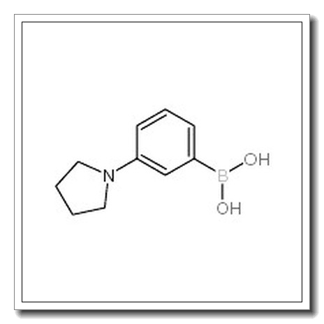 3-Pyrrolidinophenylboronic acid CAS 659731-18-7
