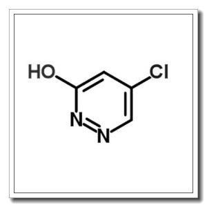 5-氯哒嗪-3(2H)-酮