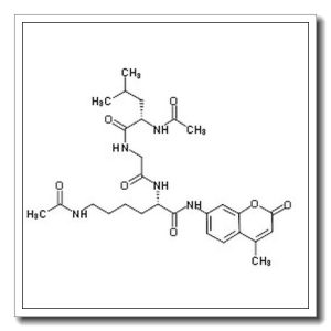 (2S)-6-acetamido-2-[[2-[[(2S)-2-acetamido-4-methylpentanoyl]amino]acetyl]amino]-N-(4-methyl-2-oxochromen-7-yl)hexanamide