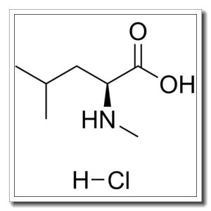 N-甲基-L-亮氨酸 盐酸盐