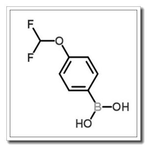 对二氟甲氧基苯硼酸