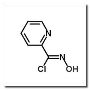 2-[chloro(nitroso)methylidene]-1H-pyridine