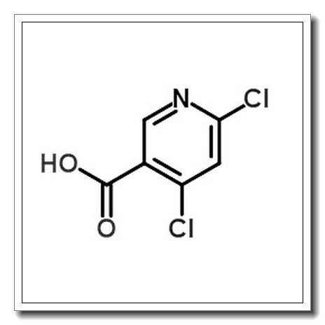 4,6-Dichloronicotinic Acid CAS 73027-79-9