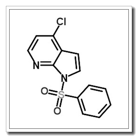 1-(benzenesulfonyl)-4-chloropyrrolo[2,3-b]pyridine CAS 744209-63-0
