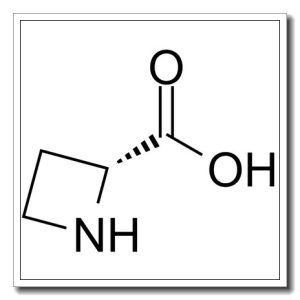 (R)-氮杂环丁烷-2-羧酸