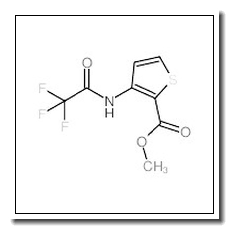 Methyl 3-(2,2,2-trifluoroacetamido)thiophene-2-carboxylate CAS 79128-68-0