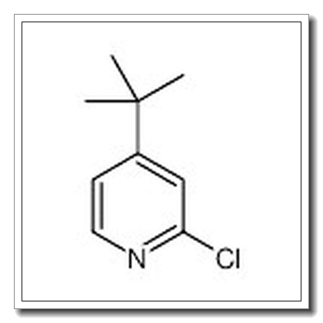 4-叔丁基-2-氯-吡啶