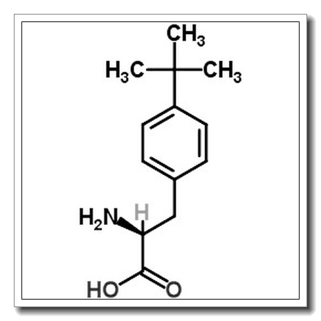 L-4-叔丁基苯丙氨酸