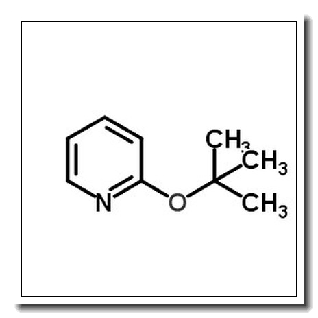 2-(叔丁氧基)吡啶