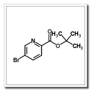 5-溴吡啶甲酸叔丁酯