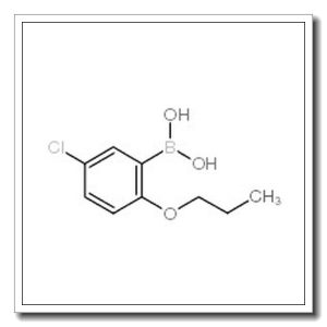 5-氯-2-丙氧基苯基硼酸