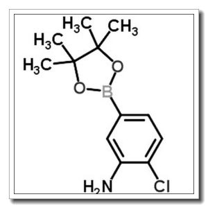 3-氨基-4-氯苯基硼酸频哪醇酯