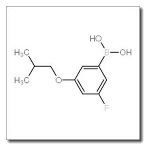 3-氟-5-异丁氧基苯硼酸