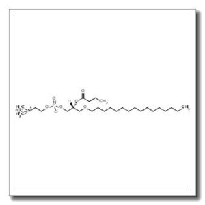 Butanoyl PAF