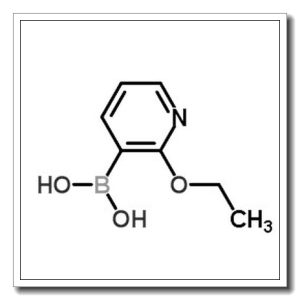 2-乙氧基吡啶-3-硼酸