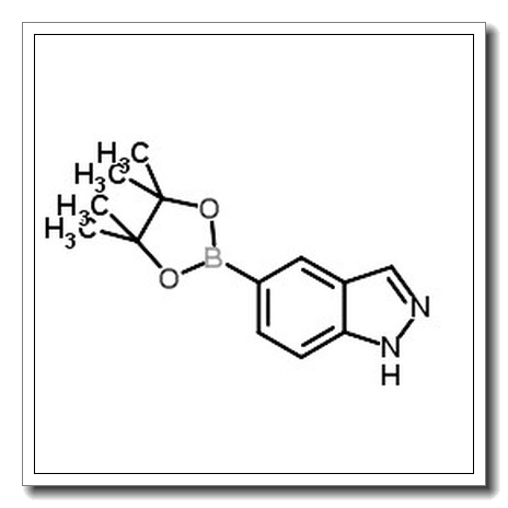 1H-吲唑-5-硼酸频哪醇酯
