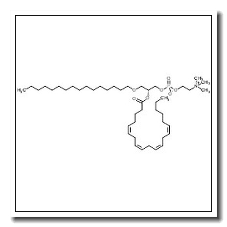 1-O-棕榈基-2-花生酰基-sn-甘油-3-胆碱磷酸