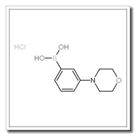 (3-Morpholinophenyl)boronic acid hydrochloride CAS 863248-20-8