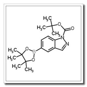 5-(4,4,5,5-四甲基-1,3,2-二氧硼烷-2-基)-1H-吲哒唑-1-甲酸叔丁酯