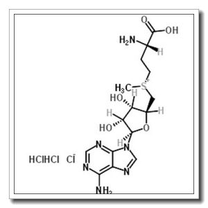 S-(5′-Adenosyl)-L-methionine chloride (hydrochloride)