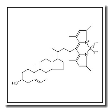 Boron, [(3β)-24-(3,5-dimethyl-1H-pyrrol-2-yl-κN)-24-(3,5-dimethyl-2H-pyrrol-2-ylidene-κN)chol-5-en-3-olato]difluoro-, (T-4) CAS 878557-19-8