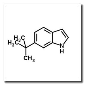 6-叔丁基-1H-吲哚